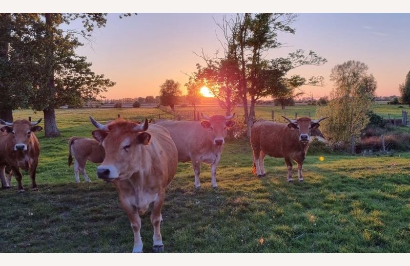 Ferme du Petit Bas Champs