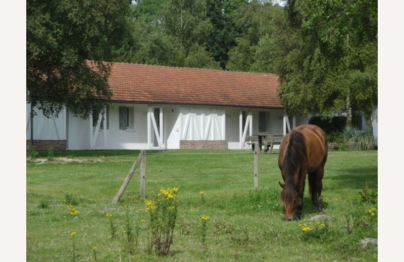 PREMIUM - LA CIGOGNE