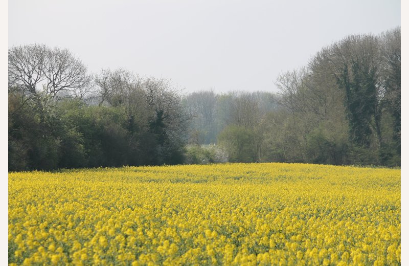Les hauts de Pont-Rémy