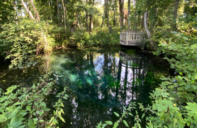 The Bouvaque marsh