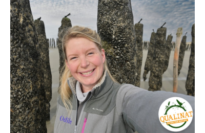 Norwoé Découvertes