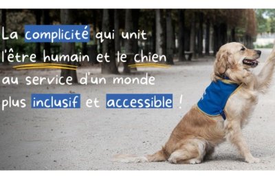 Soirée des Solidarités (Handi-chiens) organisée par « Les Quennois Chantent »