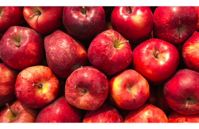 Fête de la pomme, du terroir et du picard